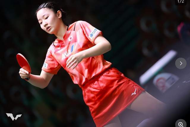 案例分析 案例分析